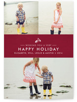 Splendid Pinecone Holiday Photo Cards