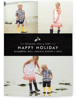 Splendid Pinecone Holiday Photo Cards