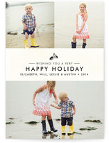 Splendid Pinecone Holiday Photo Cards