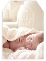 Our First Noel Holiday Photo Cards