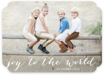 Simple Joy Holiday Photo Cards