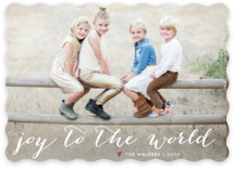 Simple Joy Holiday Photo Cards