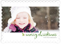 Panorama Holiday Photo Cards