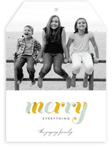 De Light Stripe Holiday Photo Cards