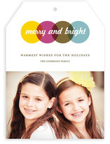 Color Study Holiday Photo Cards