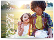Light Feathers Holiday Photo Cards