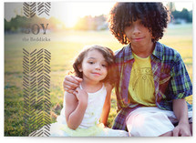 Light Feathers Holiday Photo Cards