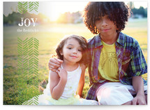 Light Feathers Holiday Photo Cards