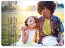 Light Feathers Holiday Photo Cards
