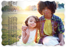 Light Feathers Holiday Photo Cards