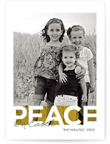 Bold Noel Holiday Photo Cards