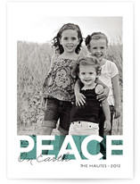 Bold Noel Holiday Photo Cards