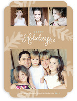 Painterly Pine Holiday Photo Cards