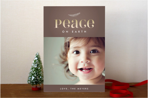 Feather Vignette Holiday Photo Cards
