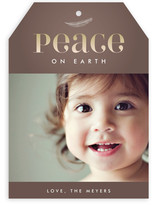 Feather Vignette Holiday Photo Cards