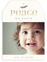 Feather Vignette Holiday Photo Cards