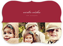 Sable and Sparkle Holiday Photo Cards