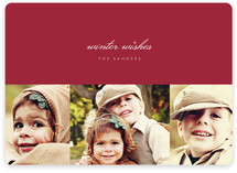 Sable and Sparkle Holiday Photo Cards