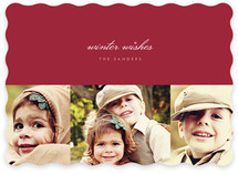 Sable and Sparkle Holiday Photo Cards