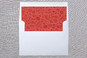 Slip-In Envelope Liners