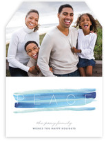 Peace and Quiet Holiday Photo Cards