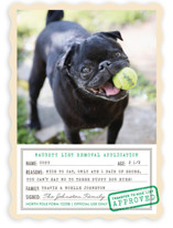 North Pole Form 1225B Holiday Photo Cards