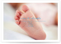A Wee Bit of Mirth Holiday Photo Cards