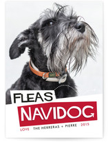 Fleas Navidog Holiday Photo Cards