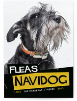 Fleas Navidog Holiday Photo Cards
