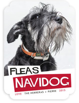 Fleas Navidog Holiday Photo Cards