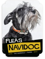 Fleas Navidog Holiday Photo Cards