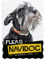 Fleas Navidog Holiday Photo Cards