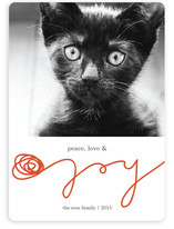 Peace, Love & Yarn Holiday Photo Cards