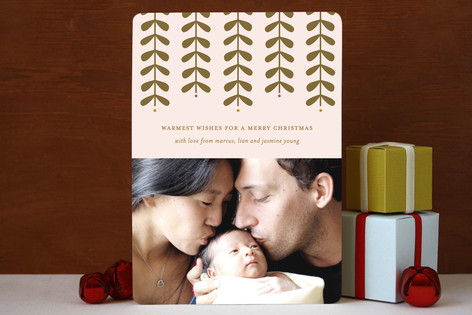 Modern Mistletoe Holiday Photo Cards
