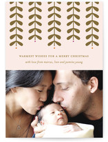 Modern Mistletoe Holiday Photo Cards