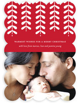 Modern Mistletoe Holiday Photo Cards