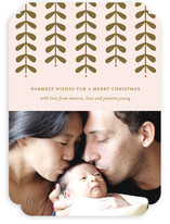 Modern Mistletoe Holiday Photo Cards