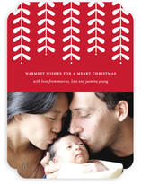 Modern Mistletoe Holiday Photo Cards