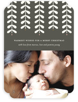 Modern Mistletoe Holiday Photo Cards