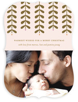 Modern Mistletoe Holiday Photo Cards