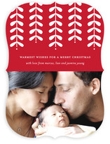 Modern Mistletoe Holiday Photo Cards