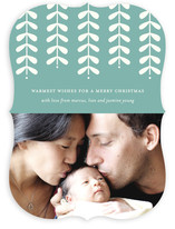 Modern Mistletoe Holiday Photo Cards