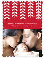 Modern Mistletoe Holiday Photo Cards