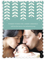 Modern Mistletoe Holiday Photo Cards