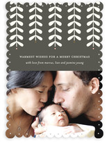 Modern Mistletoe Holiday Photo Cards