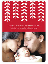 Modern Mistletoe Holiday Photo Cards