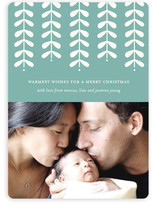 Modern Mistletoe Holiday Photo Cards