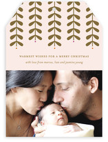Modern Mistletoe Holiday Photo Cards