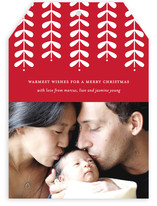 Modern Mistletoe Holiday Photo Cards