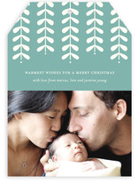 Modern Mistletoe Holiday Photo Cards